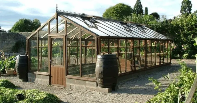 Serra da Giardino: Come Scegliere, Progettare e Utilizzare una Serra per Coltivare Tutto l’Anno