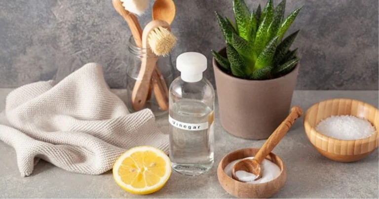 Guida al Lavaggio Naturale: Sicuro, Efficace e Sostenibile