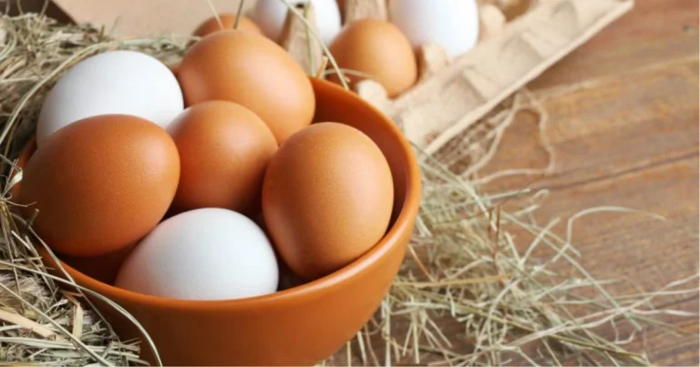 Le 25 migliori dritte sulle uova che dovresti conoscere