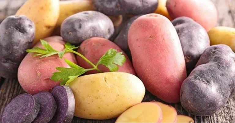 Tipologie di Patate: Come Scegliere la Varietà Giusta per Ogni Ricetta