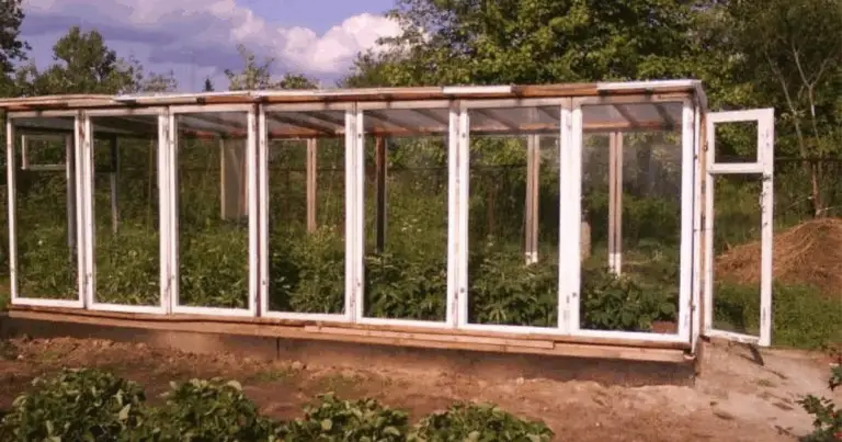 Come realizzare una serra addossata utilizzando vecchi telai di finestre: guida pratica al microclima domestico