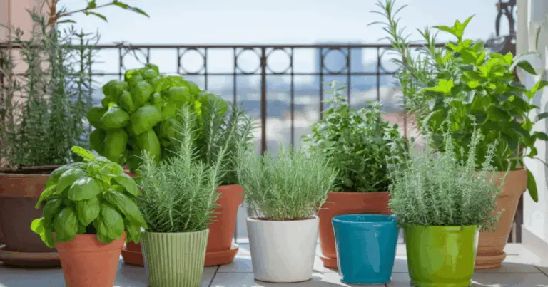 Ortaggi Facili e Veloci da Coltivare in Vaso: Guida Completa per un Raccolto Rapido in Casa o sul Balcone