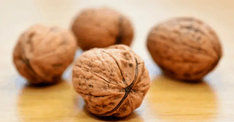 Noci che Fanno Bene al Cervello: Le 5 Migliori per Memoria, Energia Mentale e Benessere Cognitivo