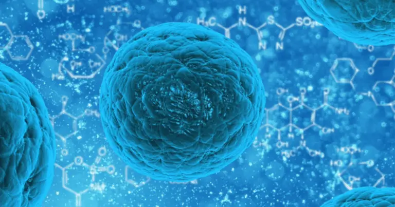 Autogafia: Il Meccanismo Naturale di Autorigenerazione Scoperto da Yoshinori Ohsumi