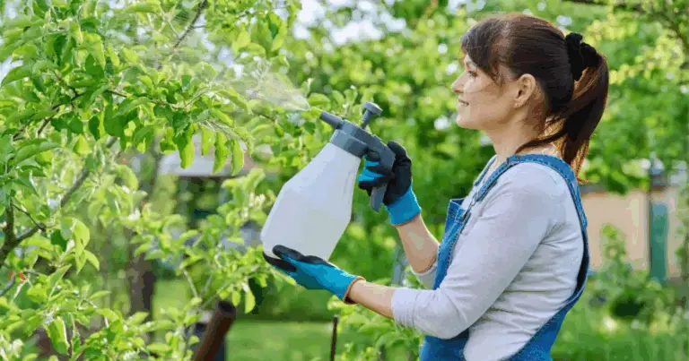 Insetticida Naturale per Pomodori: Come Proteggere le Piante con Bicarbonato e Latte