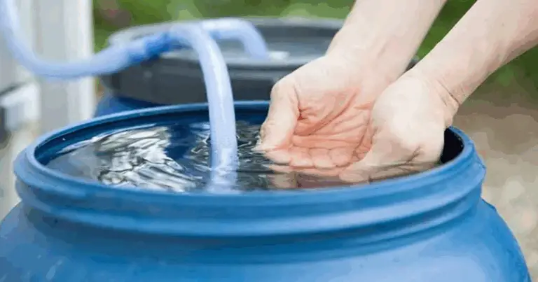 Sistema di raccolta dell’acqua piovana: guida completa per realizzarlo in casa