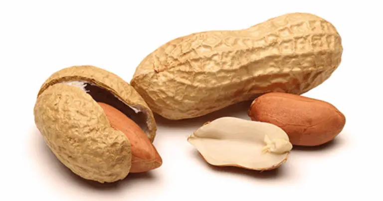 Come coltivare le arachidi in casa: guida completa per principianti