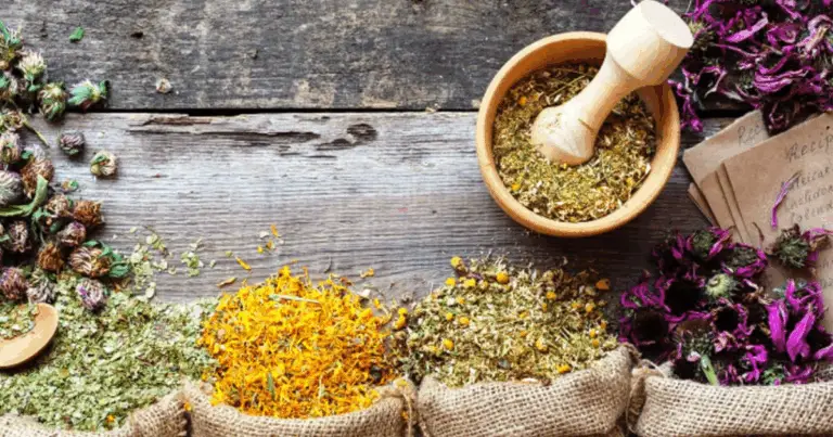 Mappa delle piante medicinali per il benessere del corpo: una guida completa ai rimedi naturali