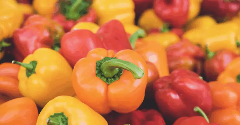 Varietà di peperoni nel mondo: sapori, intensità e usi in cucina