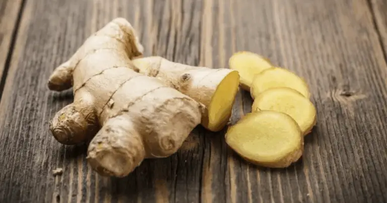 Antibiotici naturali: guida completa ai rimedi vegetali con proprietà antibatteriche e antinfiammatorie