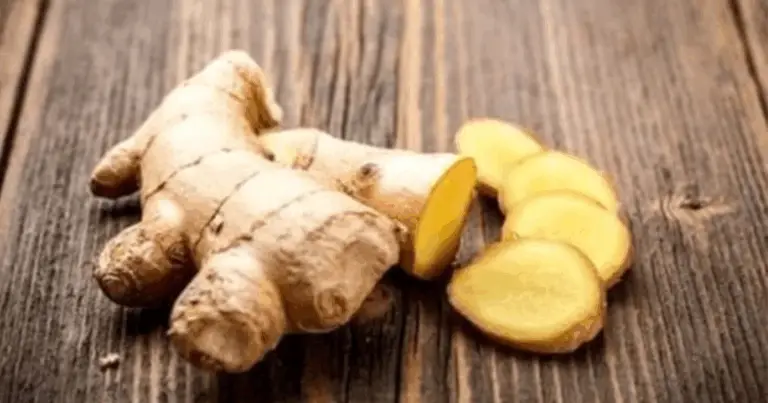 Zenzero: 10 Benefici Naturali per il Benessere