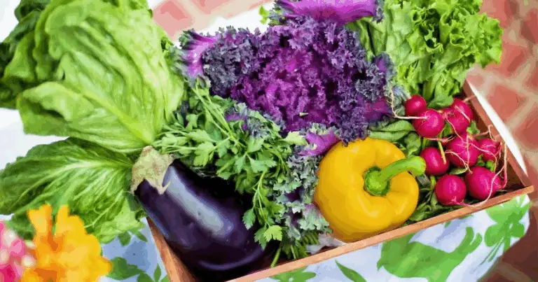 Alimenti che Non Devono Essere Conservati Insieme