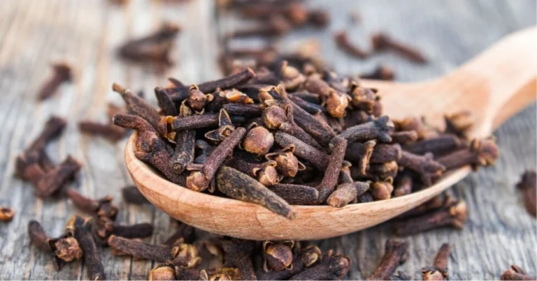 20 modi per usare i chiodi di garofano per la salute: benefici, motivazioni scientifiche e istruzioni pratiche