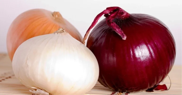 Come scegliere la cipolla giusta per ogni piatto: guida completa ai diversi tipi e ai migliori abbinamenti