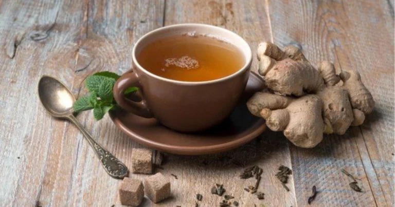 Tisana antinfluenzale naturale: guida completa al rimedio invernale fatto in casa