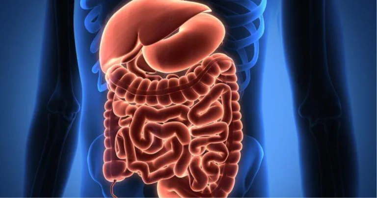 Il Nostro Colon: Piccole Abitudini Quotidiane per il Benessere dell’Intestino