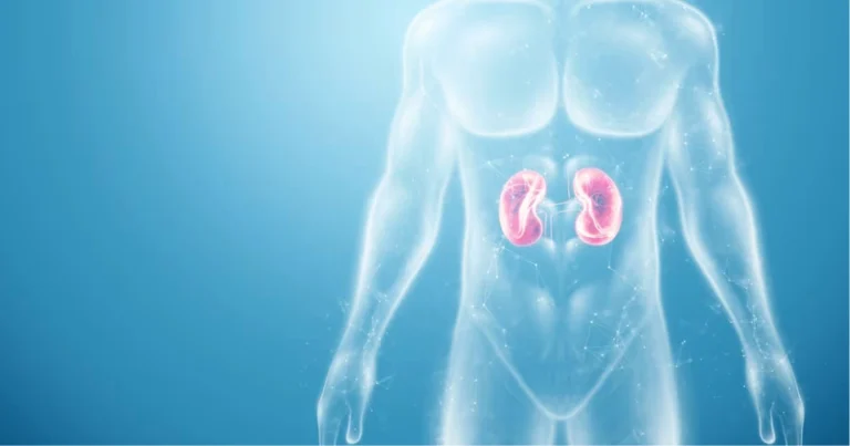 Depurazione naturale del corpo: come l’alimentazione può sostenere gli organi e favorire il benessere