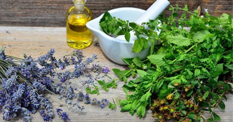 Erbe per i polmoni: guida completa alle piante che favoriscono una respirazione più libera