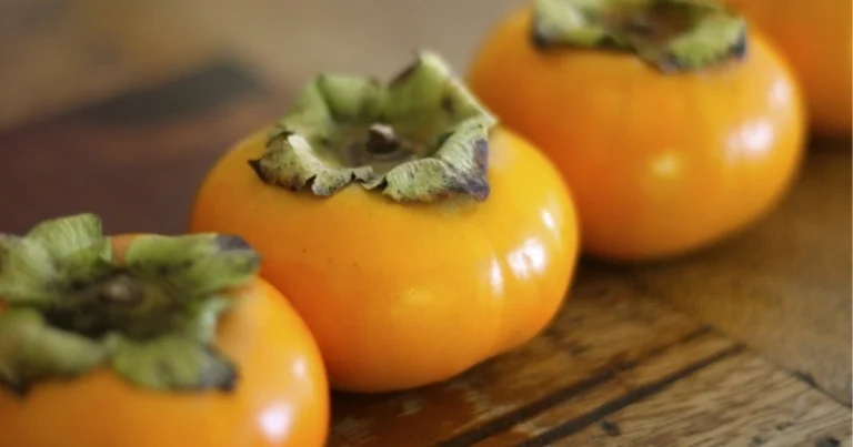 Benefici dei cachi: proprietà nutrizionali, usi e vantaggi per la salute