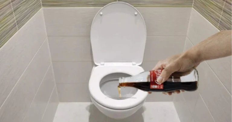 Utilizzi domestici del soda cola: guida completa e sicura per la pulizia