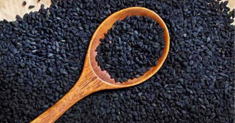 Semi per la digestione: guida completa ai migliori alleati naturali