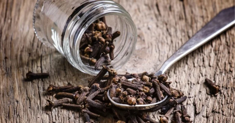Idee semplici e naturali con i chiodi di garofano: guida completa ai loro utilizzi