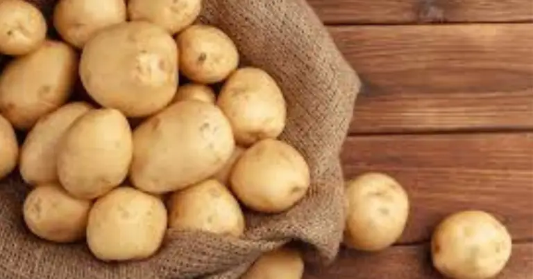 Coltivare le patate nei secchi: guida completa per raccolti abbondanti anche in poco spazio