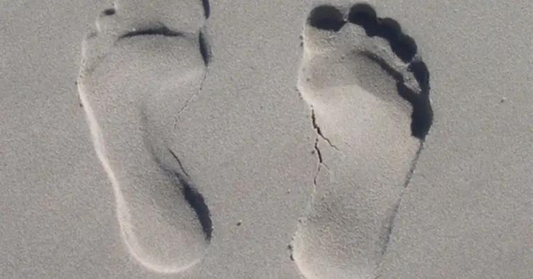 Riflessologia plantare: mappa del piede, significato dei punti e benefici per il benessere