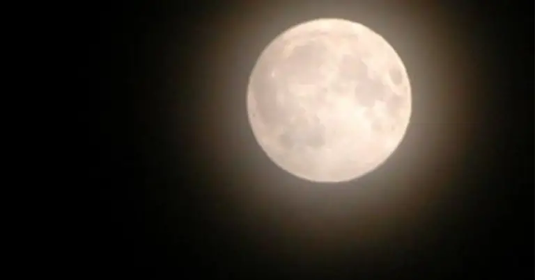 Fasi lunari e piante aromatiche: come sincronizzare il giardinaggio con il ciclo della luna