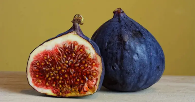 Fichi secchi: benefici nutrizionali, proprietà e come inserirli in una dieta equilibrata