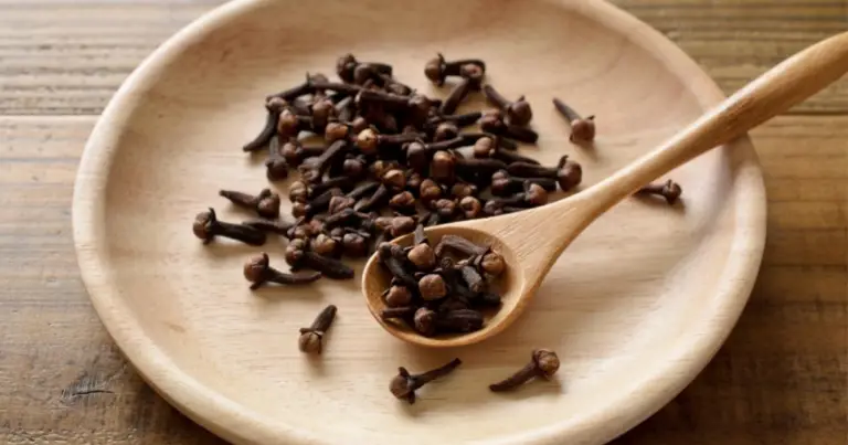 Benefici dei chiodi di garofano per la salute: proprietà, usi e precauzioni