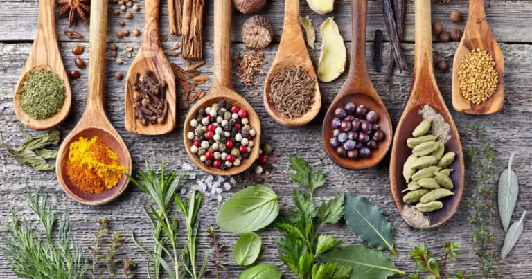 Antibiotici naturali: cosa sono, come funzionano e come integrarli in modo consapevole