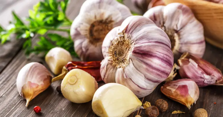 Benefici dell’aglio: proprietà, usi e valore nutrizionale per il benessere quotidiano