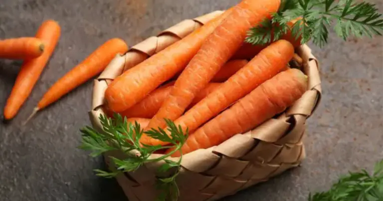 Alimenti alleati del benessere quotidiano: cosa mangiare per sentirsi meglio ogni giorno