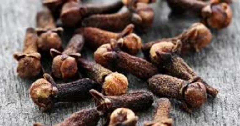 Benefici del chiodo di garofano: proprietà, usi e consigli per il benessere quotidiano