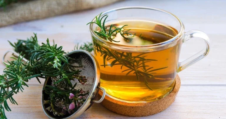 Tè di rosmarino a digiuno: benefici reali, limiti e uso consapevole