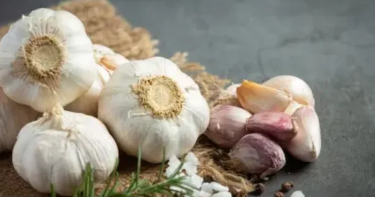 Alimenti che aiutano a contrastare i parassiti intestinali