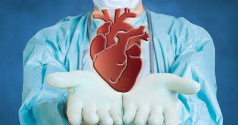 Quanto tempo gli organi restano vitali dopo la morte: cosa dice la scienza e perché è fondamentale per la donazione