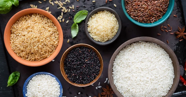 Qual è il riso più sano: guida completa per scegliere quello giusto