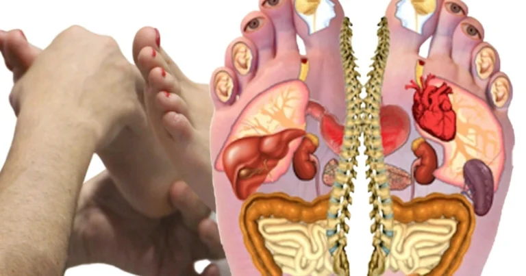 Massaggio plantare: guida completa ai punti del piede e alle tecniche per favorire rilassamento e benessere