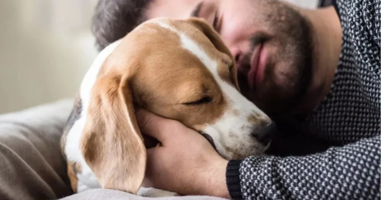 Antidepressivi naturali: come ritrovare equilibrio, calma e benessere ogni giorno