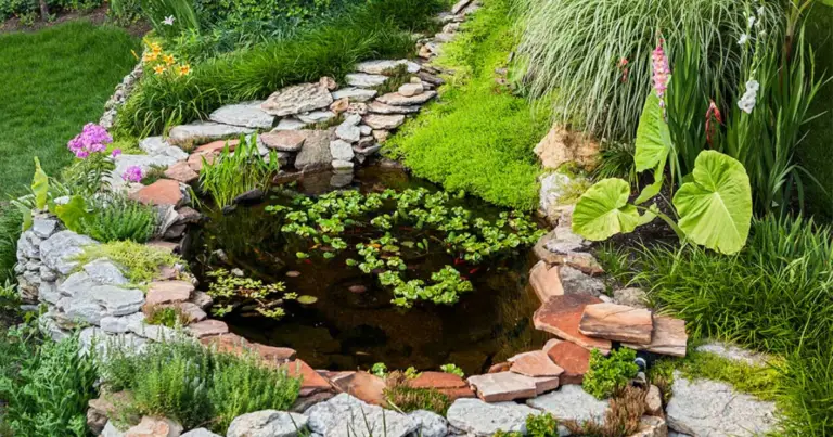 Come creare un piccolo stagno per la fauna selvatica nel tuo giardino