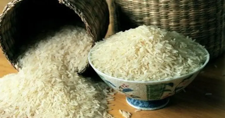 Qual è il riso più sano? Guida completa alle varietà e ai benefici nutrizionali