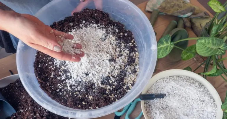 Fertilizzante naturale fai-da-te: guida completa per nutrire le piante con scarti domestici