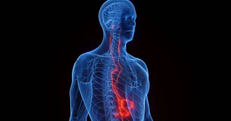 Nervo vago e rilassamento: come stimolarlo con pratiche quotidiane semplici ed efficaci