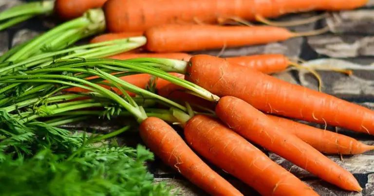 Quando seminare barbabietole, piselli, ravanelli e rape in base alla zona climatica