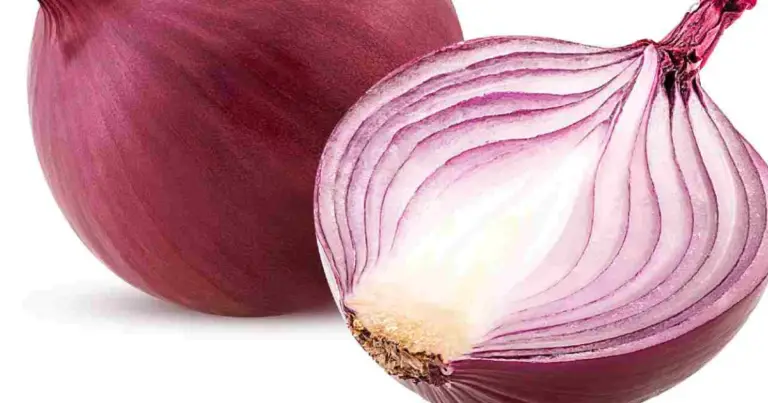Come tagliare la cipolla rossa: i 4 tagli più utili e quando usarli in cucina