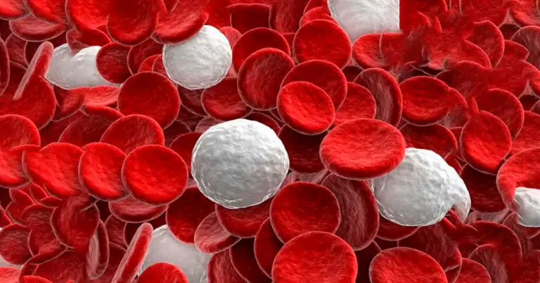 Sintomi che richiedono un’analisi del sangue: quando fare controlli e quali valori valutare