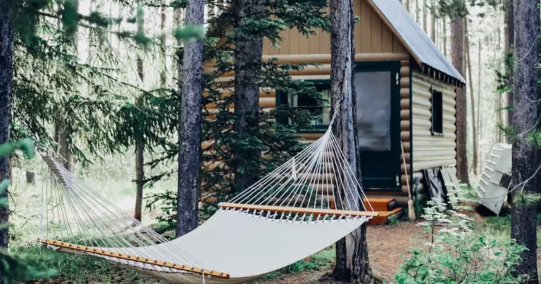 Vita off-grid: guida pratica all’autosufficienza con i 7 elementi essenziali