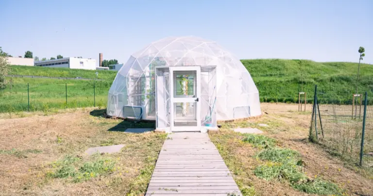 Struttura multifunzionale in giardino: come unire pollaio, serra e deposito in un’unica soluzione pratica